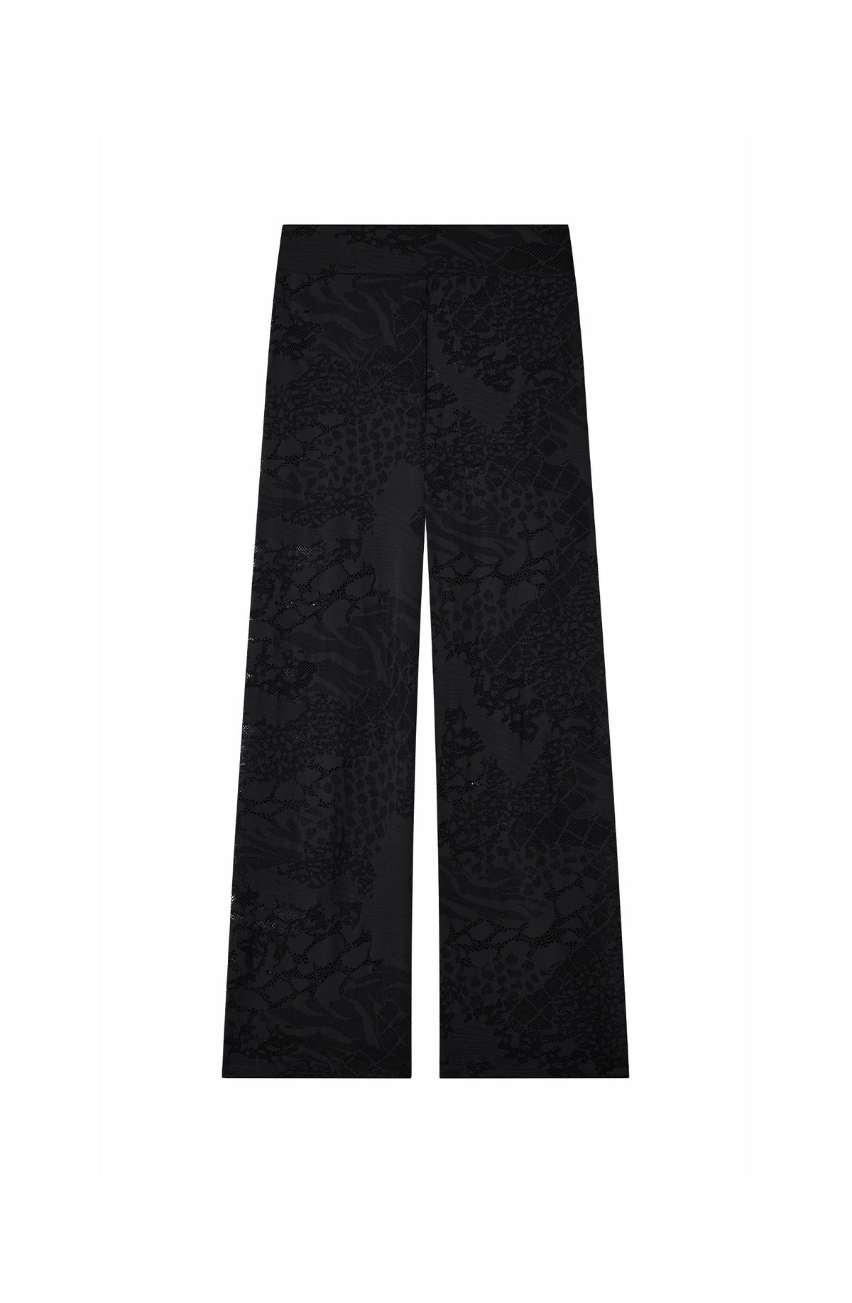 pooja Raspberry pants lace