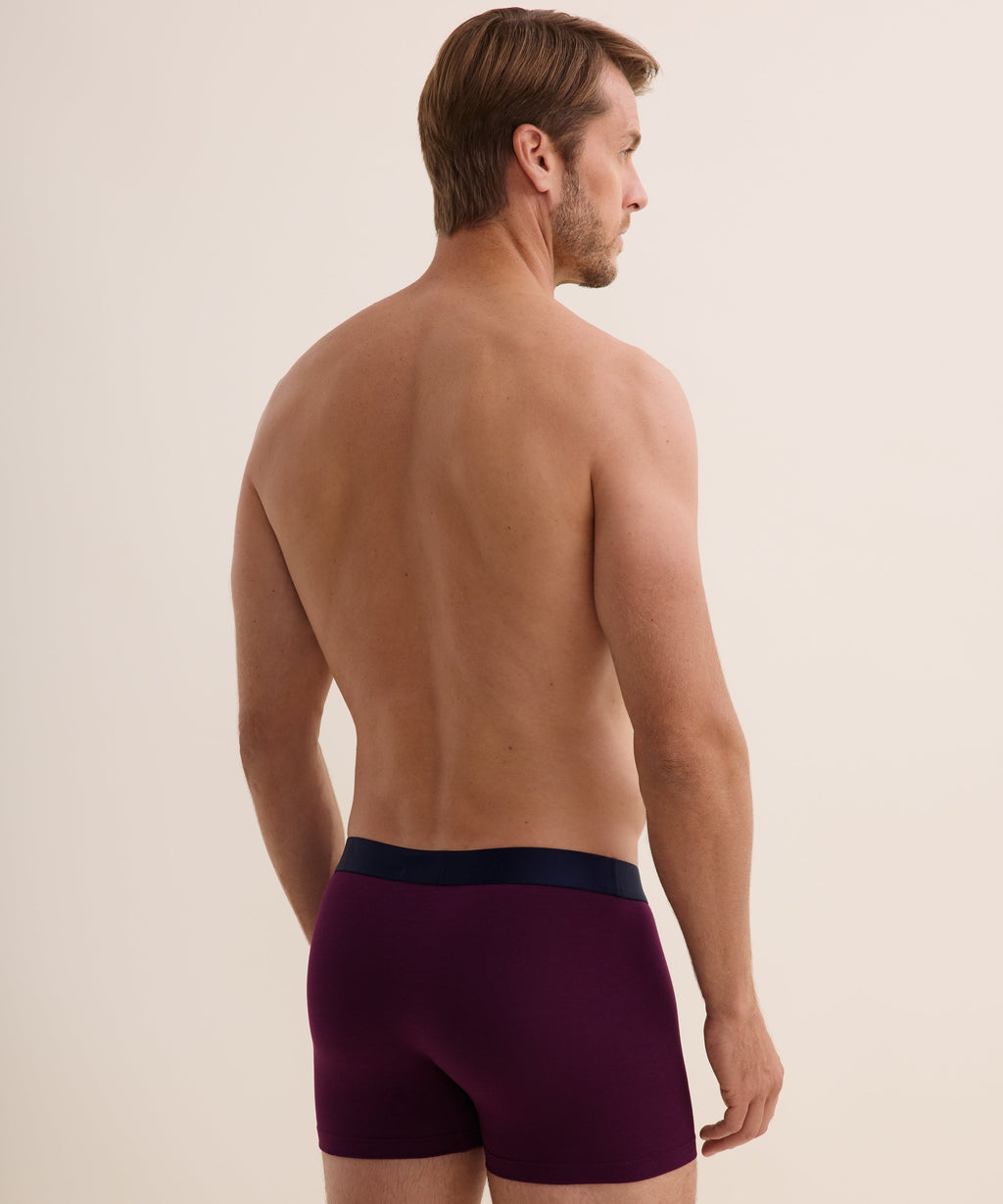 Aubade Homme Lot de 2 boxers Fleur de Boteh