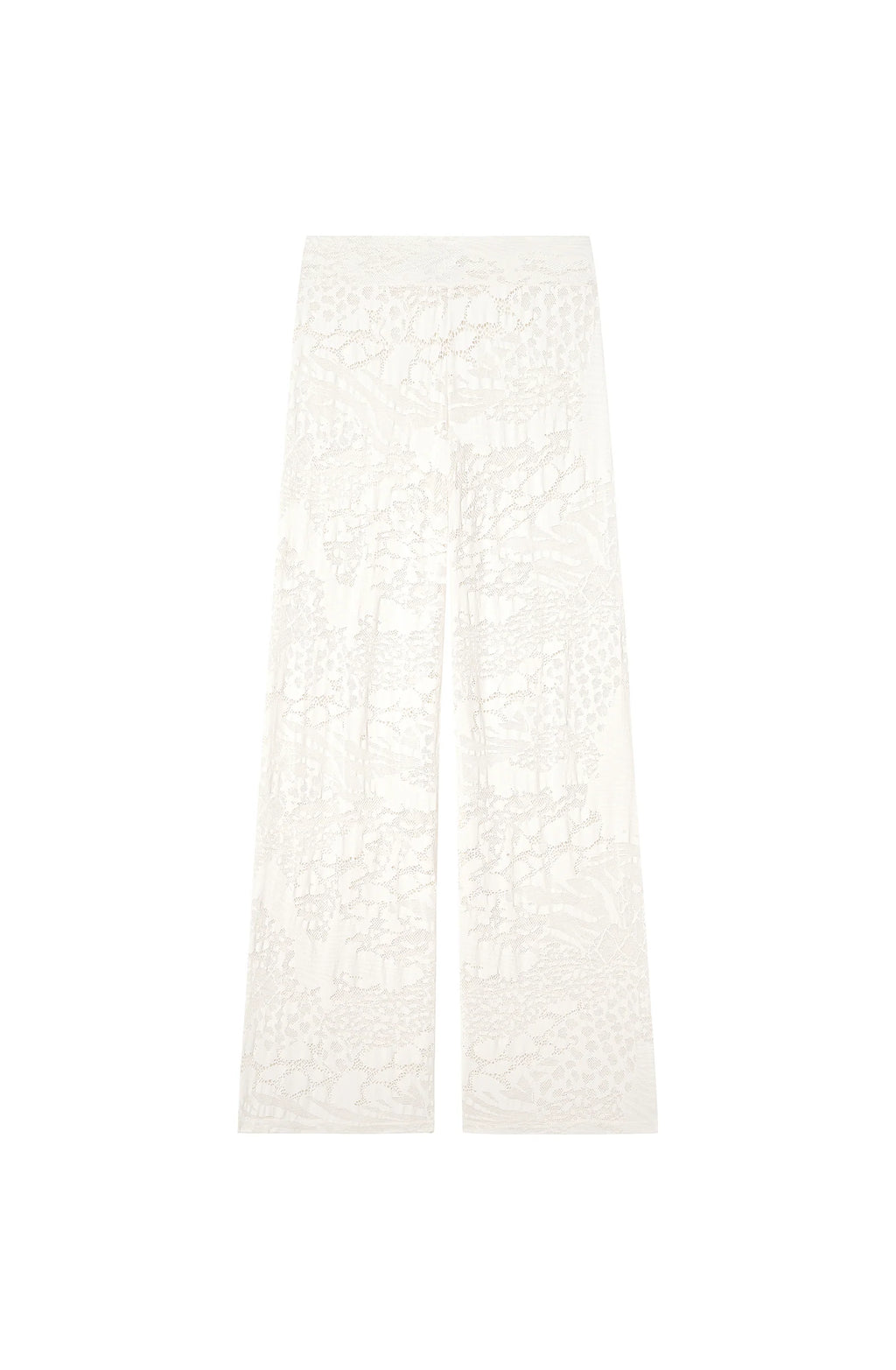 pooja Raspberry pants lace